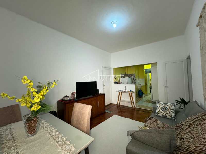 Apartamento - / Residencial / Catete
