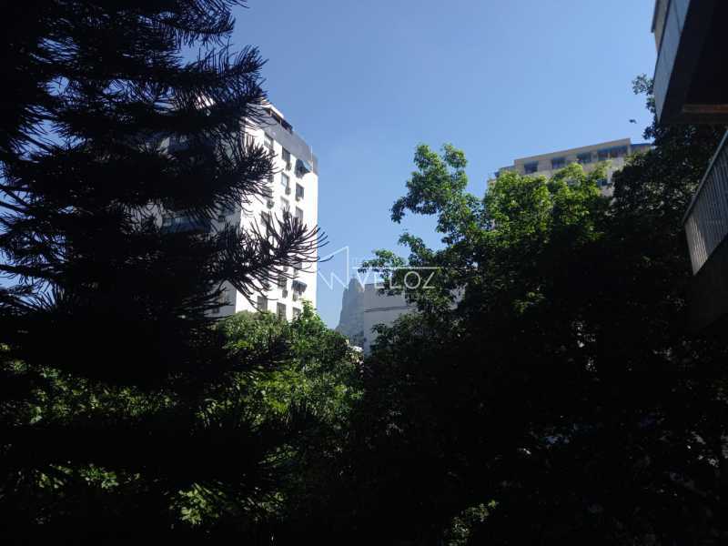 Apartamento - / Residencial / Botafogo