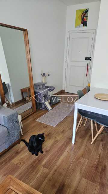 Apartamento - / Residencial / Laranjeiras