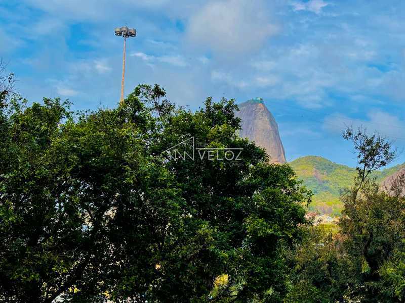 Apartamento em Flamengo